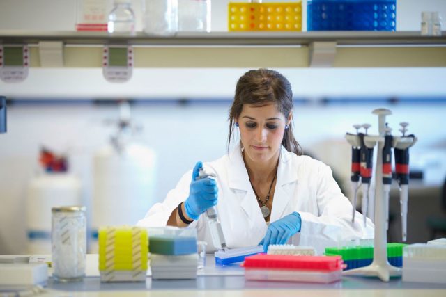 Du học Hà Lan: Học kinh doanh, kỹ thuật đỉnh cao tại Đại học KHUD HAN